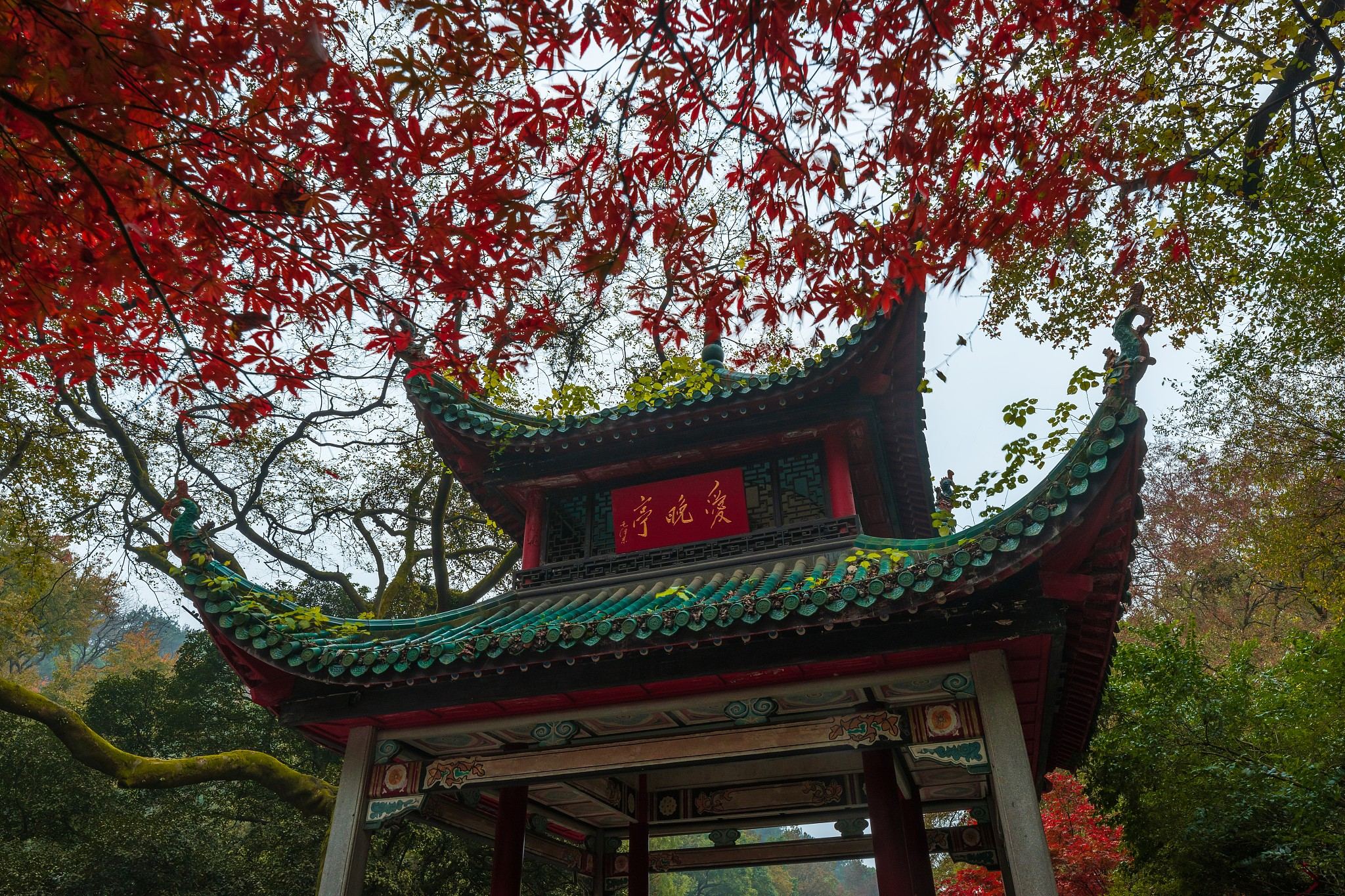圖片1