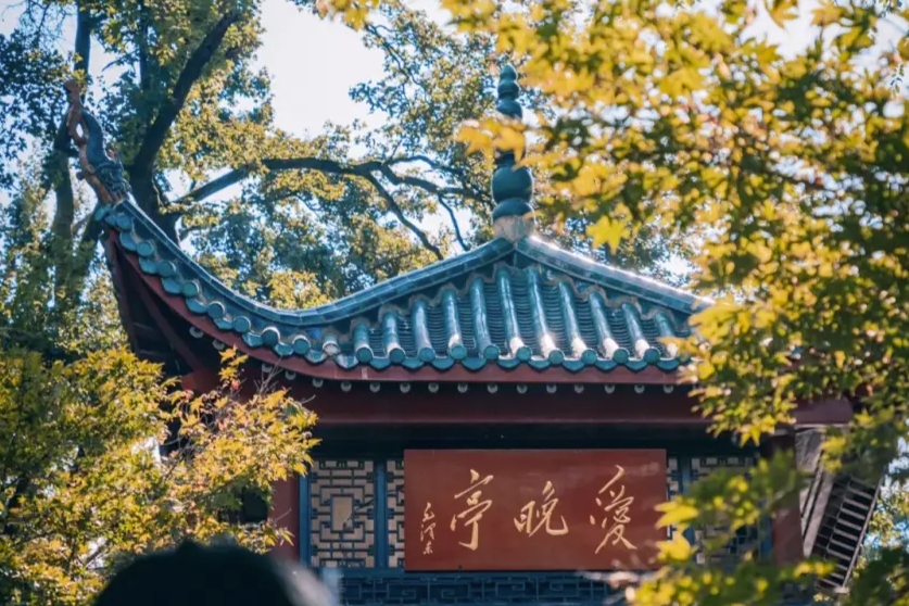 圖片2