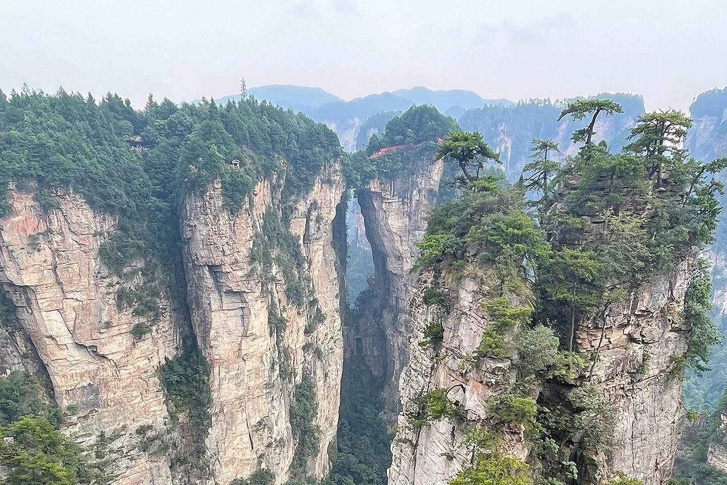 圖片2