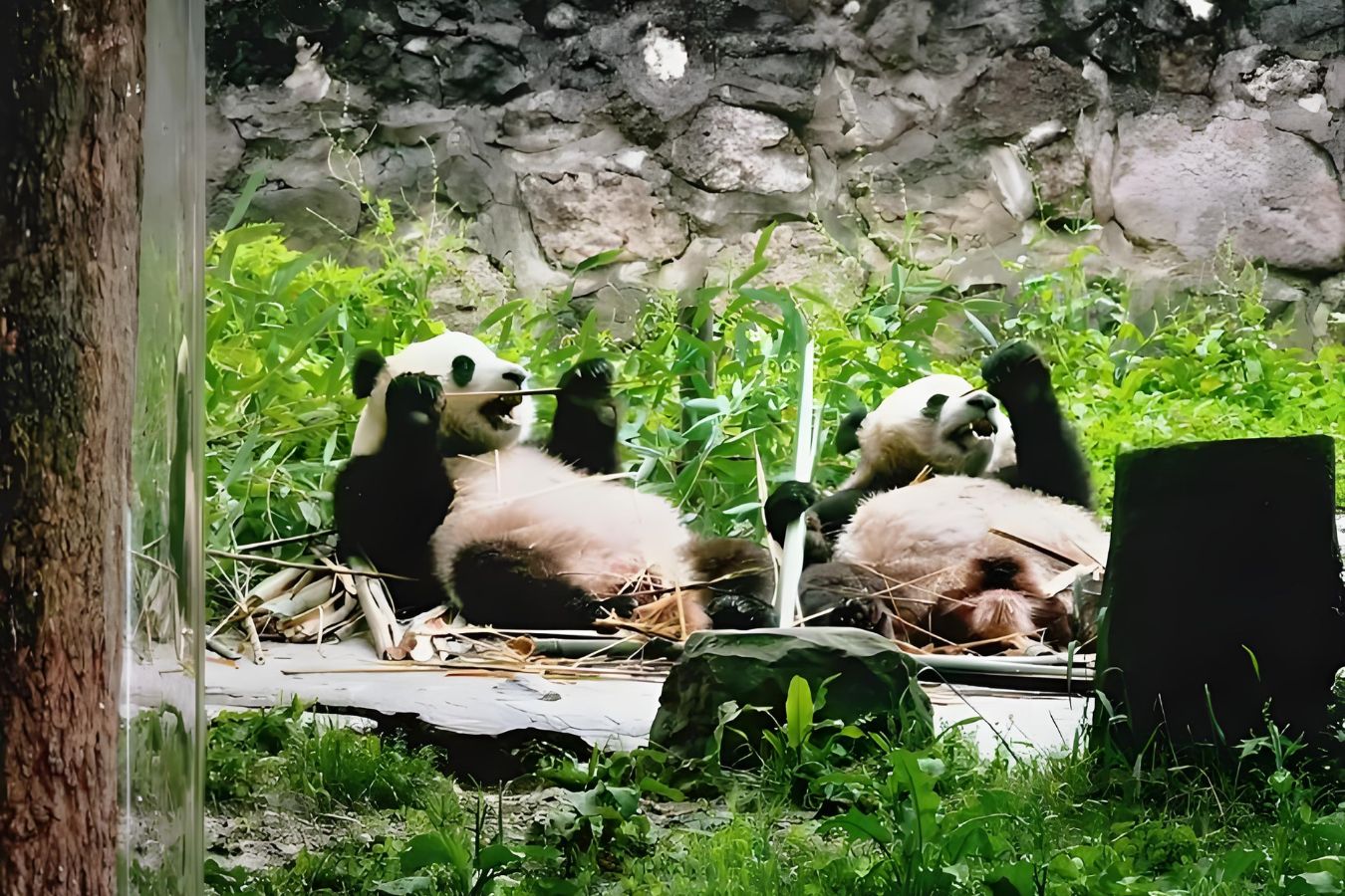 圖片2