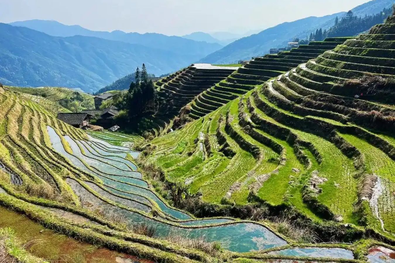 圖片2